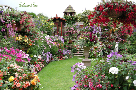 Summer Garden - summer, home, beautiful, garden