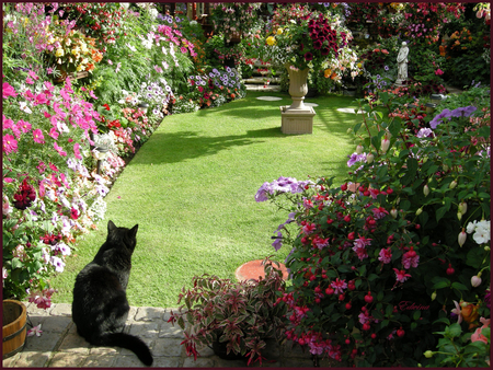 Garden View - summer, home, beautiful, garden