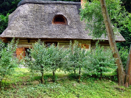 In the country side - kazimierz, summer, green, places, landscape, poland, old cottage