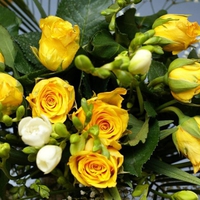 Beautiful yellow roses for my DN friends