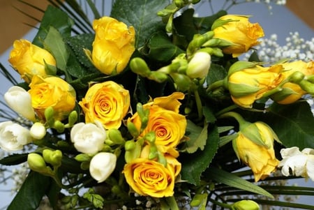 Beautiful yellow roses for my DN friends - roses, yellow roses, photography, friendship, bouquet