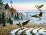 Larry Zach - "Canada Geese"