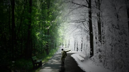 Just Follow The Road - path, tree, winter, road