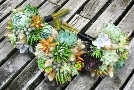 Bouquets - maids, flower, succulents, bouquets