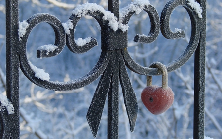 I Hold the Key...to your heart - love, fence, lock, heart, winter, nature, snow, padlock, emotion, frozen