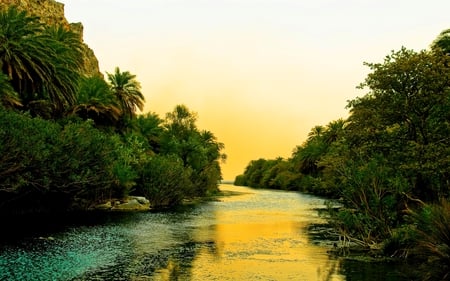 FOREST RIVER - evening, palm trees, river, forest