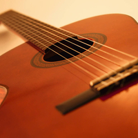 Acoustic Guitar