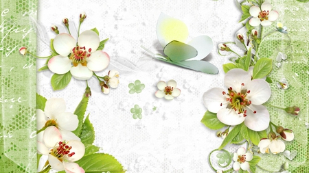 Spring so Pretty - butterfly, soft, green, flowers, firefox persona, apple blossoms, border