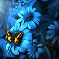 Blue flowers with butterfly