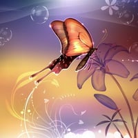 Butterfly over purple flower