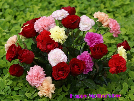 Happy Mother's Day (Every Day) - flowers, arrangement, red, bouquet, pink