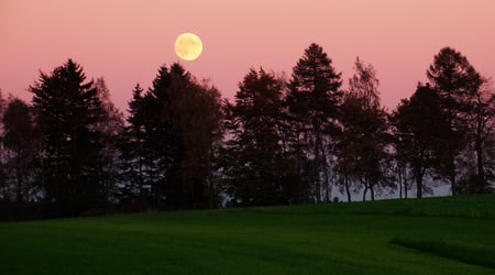 The mystic moon - moon, sky, forests, nature