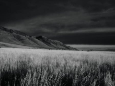 the nightmare - black and white, beatiful, nature, fields