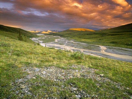 Field - field, nature, sunset, grass