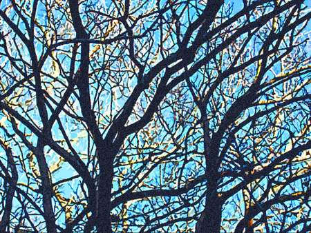 the art of trees - forests, beatiful, trees, blue, paintings