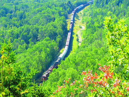 Canadian Pacific Railway freight train - lakeshore, railway, cp rail, train, train tracks, locomotive, forest, railroad, freight train