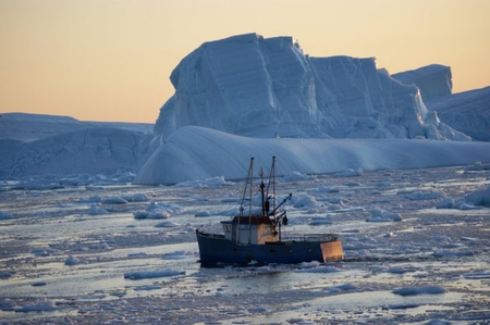 NL icebergs - canada, nature, newfoundland, maritimes