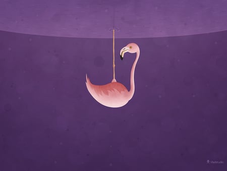 Flamingo - water, purple, weird, upside, pink, flamingo