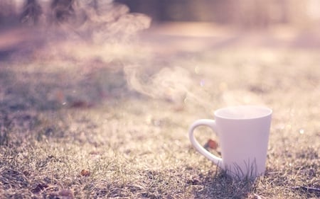 Cup - steam, nature, grass, meadow, cup