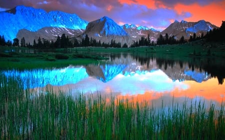 BLUE MOUNTAIN LAKE - sky, lake, reflection, mountain, blue, plants