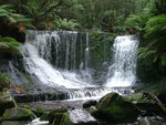 nature,waterfall,forest