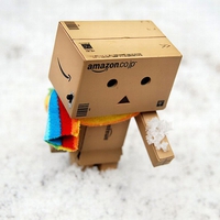 Danbo_Snow_Play