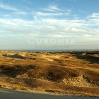 Carpeted dunes in Curonia