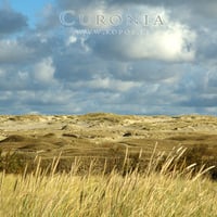 Fixed velvet dunes in Curonia