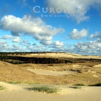 Mosaic of dunes in Curonia