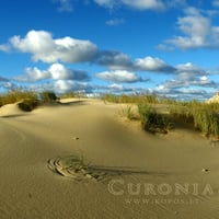 Shifting dunes in Curonia