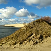 Sand wandering in Curonia