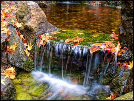 Colorfall - stream, little, waterfall, autumn