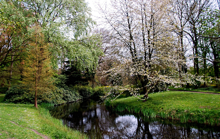 River - nature, green, rivers, forests