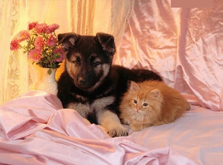 BEST FRIENDS - flowers, pet, beautiful, 2011, nice, cool, good, animals