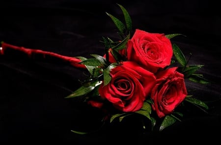 Red Roses - flowers, rosu, red, flori, trandafir, rose, flower