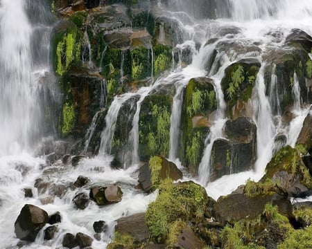 Waipunga Falls New Zealand