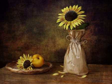 Still Life - beauty, sunflower, sunflowers, photography, lovely, still life, nature, pretty, romantic, petals, beautiful, romance, colors, flowers, apple