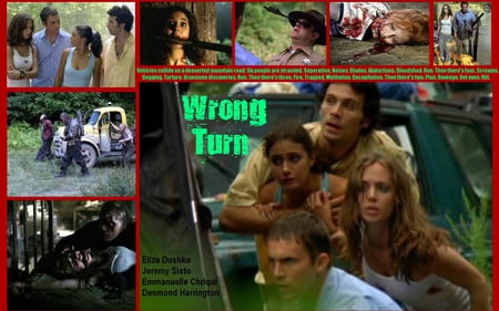 Wrong Turn - bloody, movie, horror, wrong turn