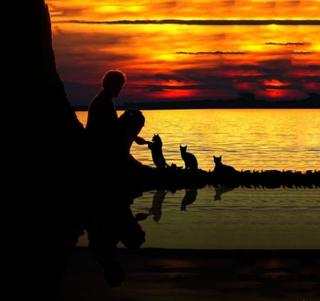 Striking Cats - clouds, shadwow, man, sunset, nature, woman, cats, lake, golden, sky