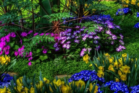 Pretty garden - blue flowers, yellow flowers, colorful, daffodils, spring, nature, pretty, beautiful, flowers, colors, grass, garden, purple flowers