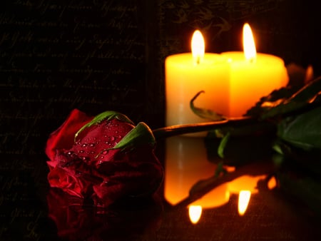 Romance - flowers, roses, romance, candles, dark