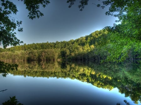 seeing_the_forest - nature, sky, lake, forest, reflection