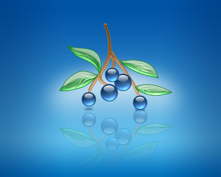 aqua blueberries - aqua, blueberries, blue, fruits, glass