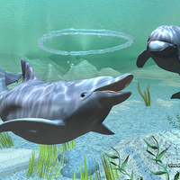 Two Dolphins