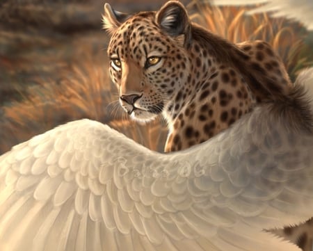 Leopard  has wings  too