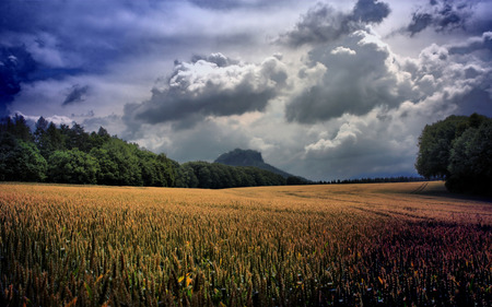 dramatic sky  - sky