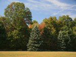 Huey Farm NJCF Nature Preserve