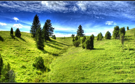 Meadows - fields, green, meadows, vista