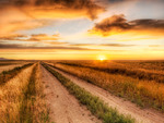 Farm track at Sundown HDR