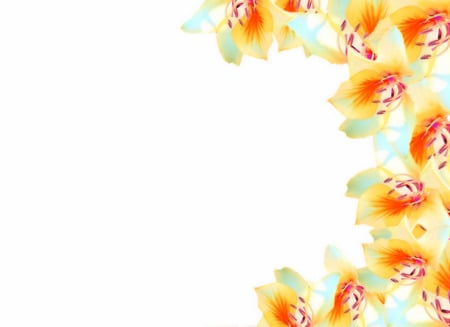 Flowers on side - flowers, white, background